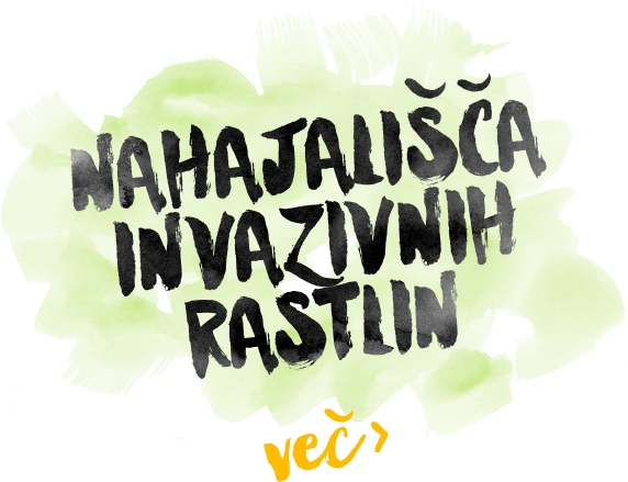 Rastišča invazivnih rastlin